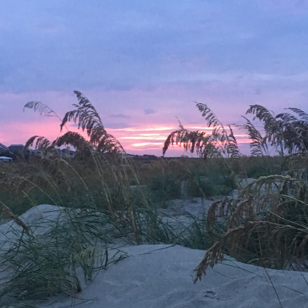 Meet your Posher, Bella